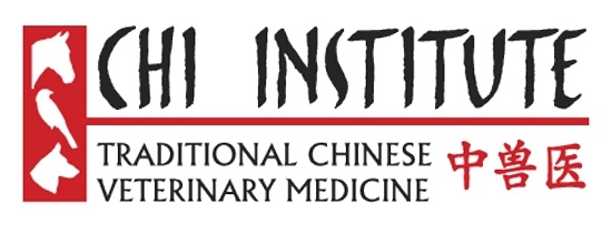 Chi Institute