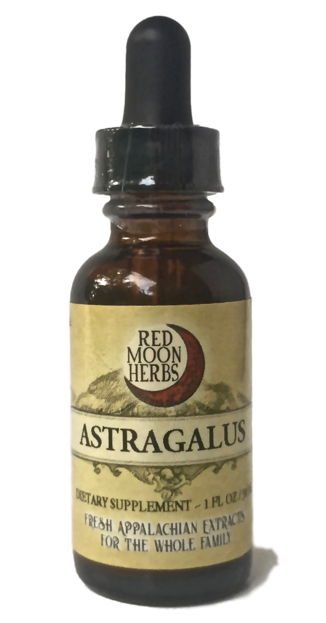 Astragalus Root, 1oz