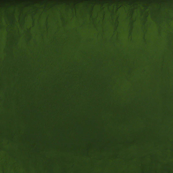 Chlorella Poweder - (Organic) Broken Cell, 1lb