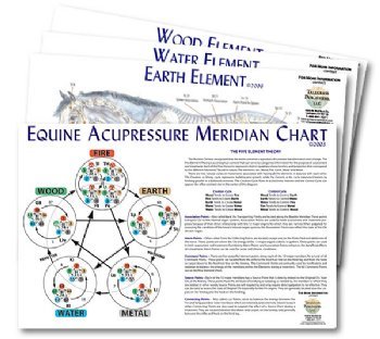 Equine 5-Element Chart Set (4 charts)