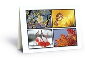 Four Seasons Card - 50 Count