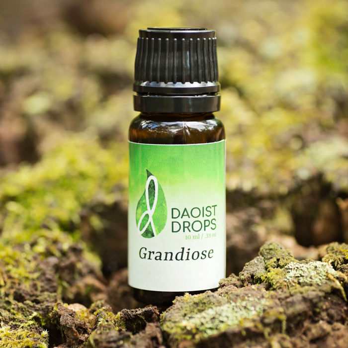 Grandiose Essential Oil Blend