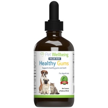 Healthy Gums for Dogs