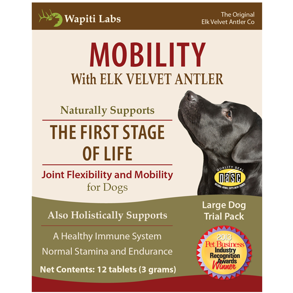 Dog Mobility Trial Pack for Large Dogs