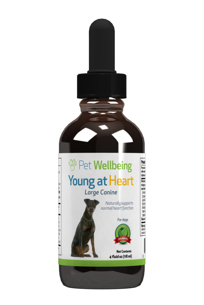 Young at Heart, 4oz for Dogs