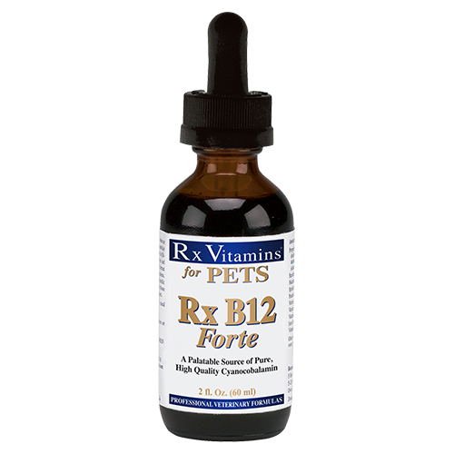 Rx B12 Forte for Pets