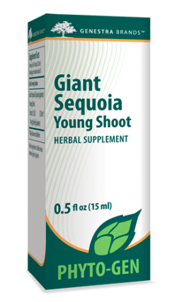 Giant Sequoia Young Shoot, 15ml