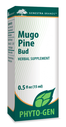 Mugo Pine Bud, 15ml