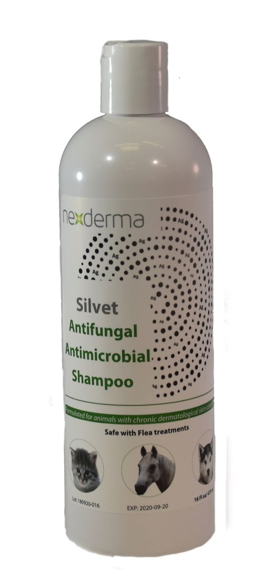 Silvet Antifungal Antimicrobial Shampoo, 4oz