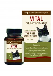 Cat Vital Formula, 15 Gram