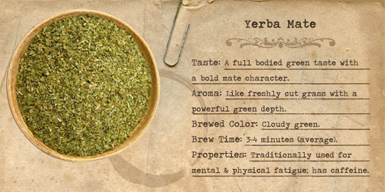 Properties of yerba mate