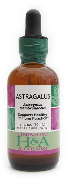Astragalus Extract, 16 oz.