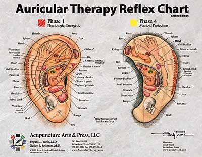 Auricular Therapy Reference Card