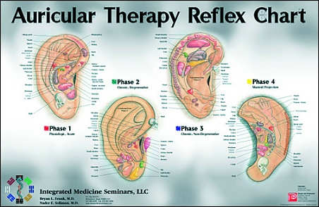 Auricular Therapy Reference Chart