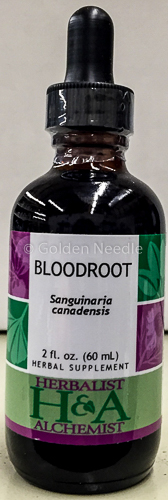 Bloodroot (Sanguinaria Canadensis) dried rhizome, 2 oz.