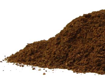 Chicory Root (Cichorium intybus) Powder, Roasted Organic