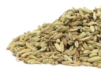 Fennel Seed / Xiao Hui Xiang. Organic