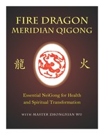 Fire Dragon Meridian Qigong DVD