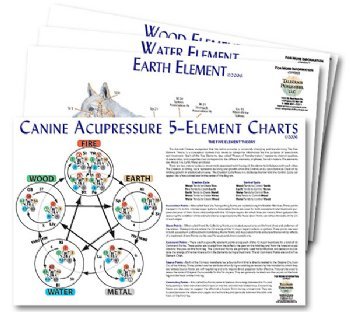 Canine 5-Element Chart Set (4 charts)