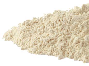 Garlic Powder, Organic (Allium sativum)