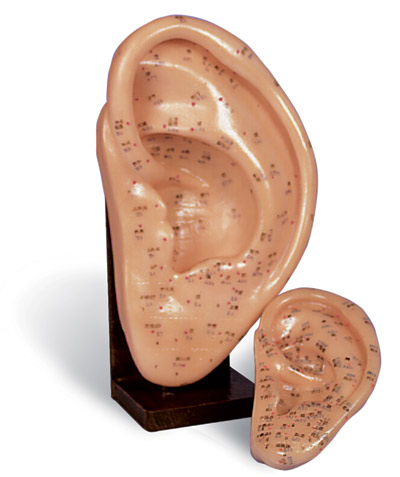 Ear Model Giant 9"