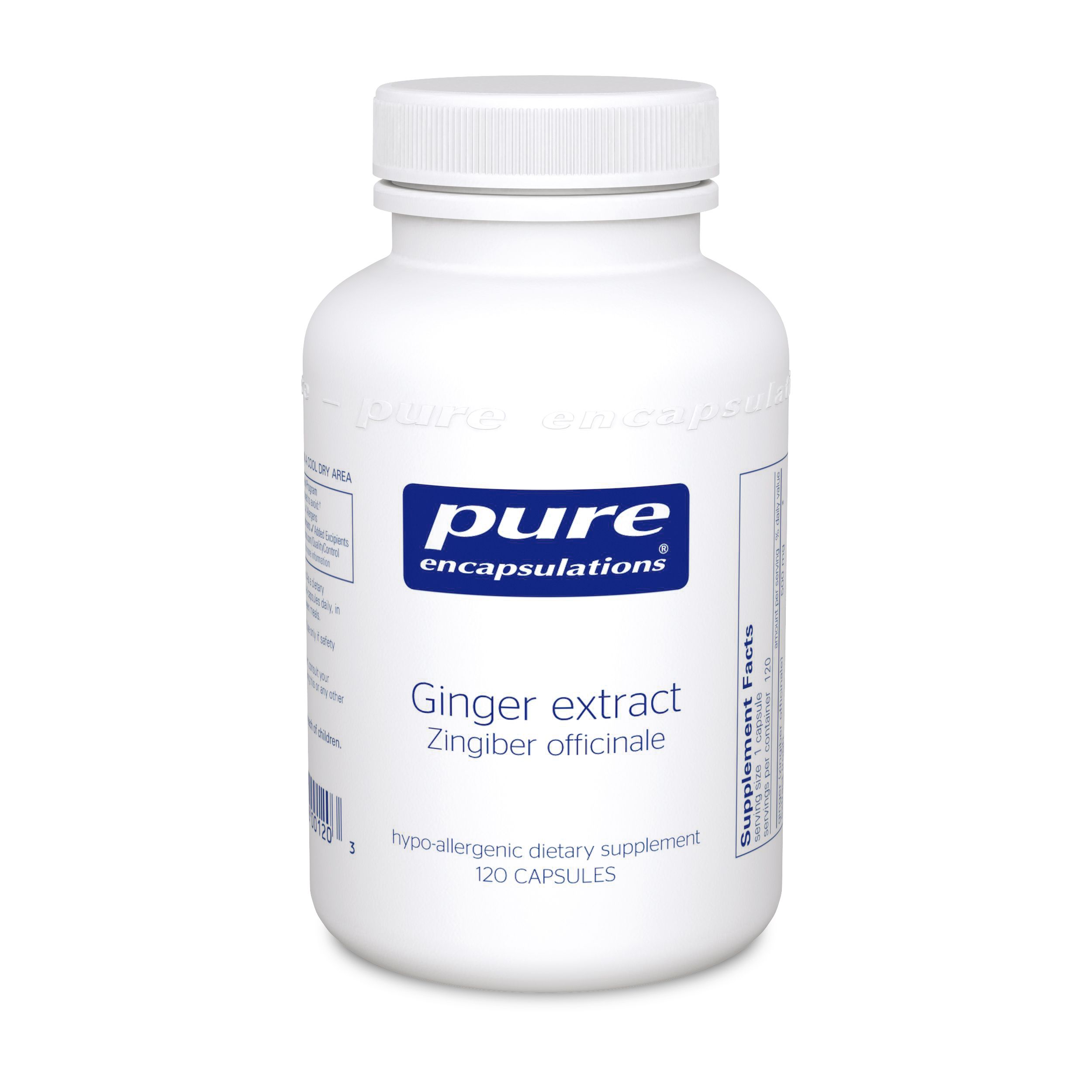 Ginger Extract (120 capsules)