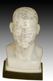 Head Acupuncture Model 20cm (7.9")