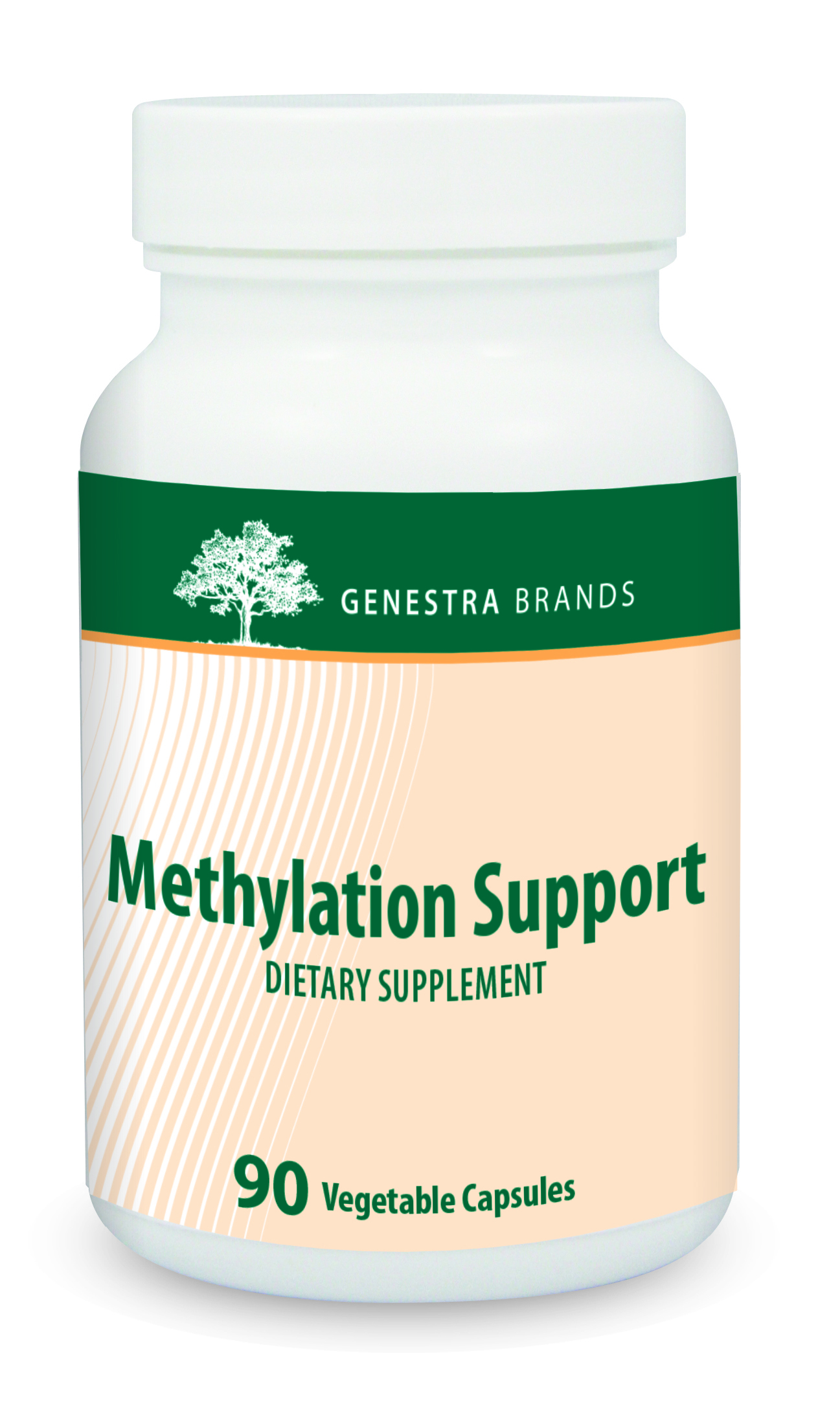 Methylation Support