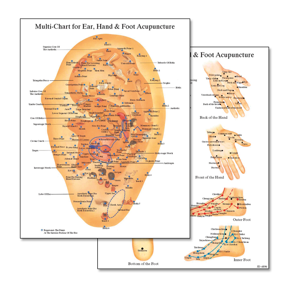 Multi-Chart for Ear / Hand / Foot Acupuncture