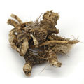 Osha Root Whole (Pound)