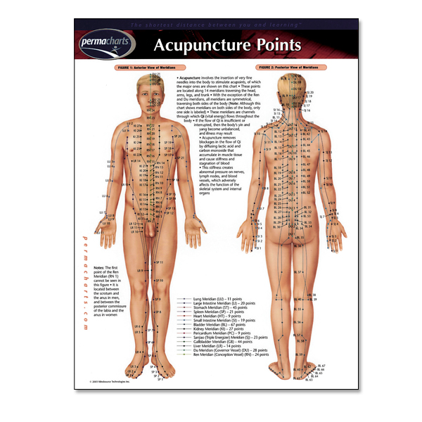 Acupuncture Points Permachart