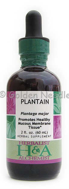 Plantain Extract, 2 oz.