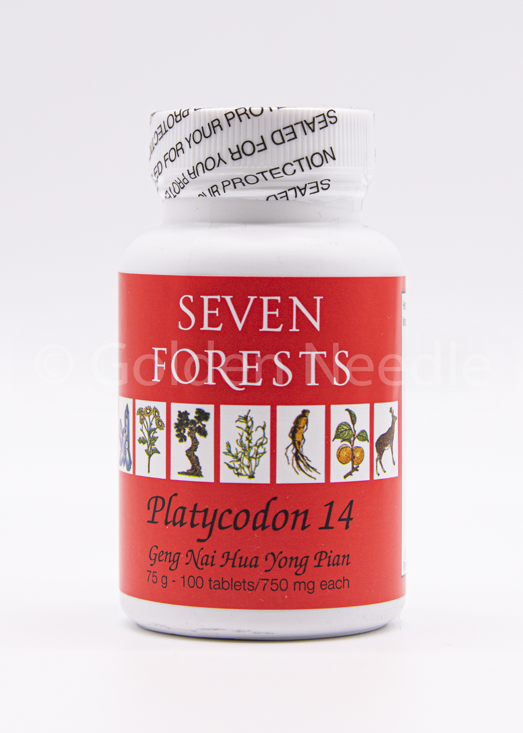 Platycodon 14