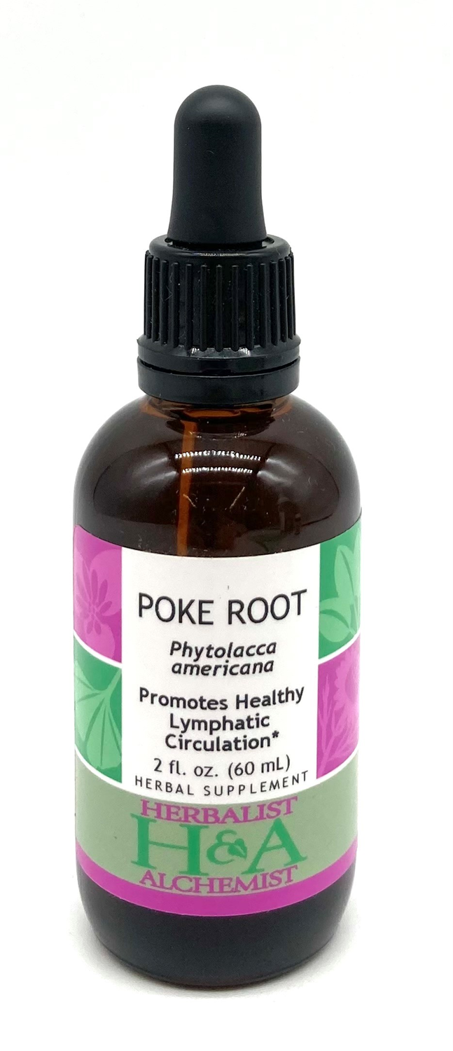 Poke Root (Phytolacca americana) fresh root, 2 oz.