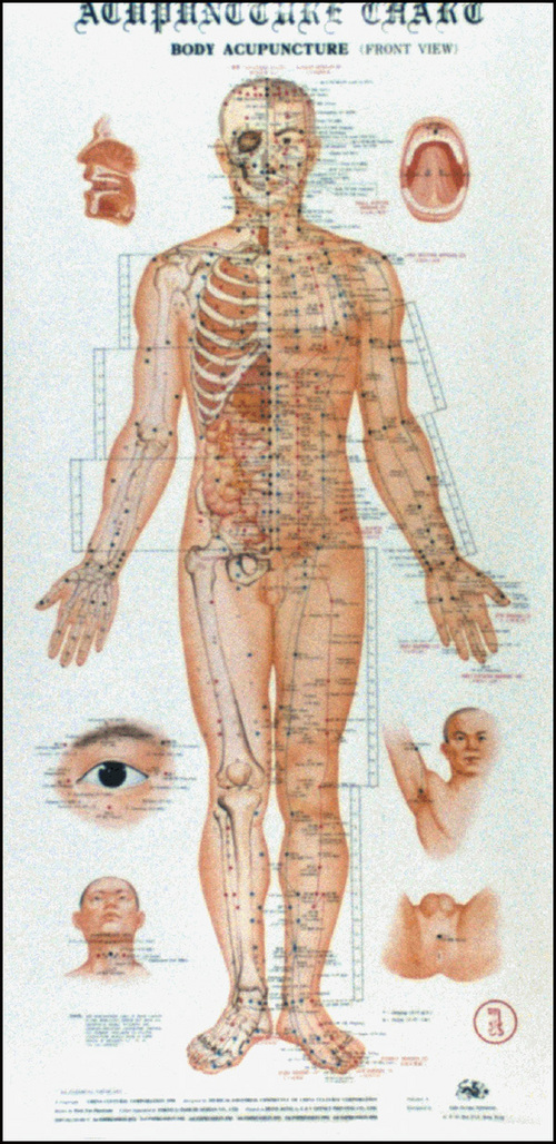 Acupuncture Charts, Wall Form