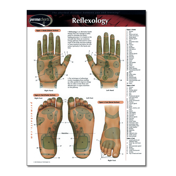 Reflexology PermaChart