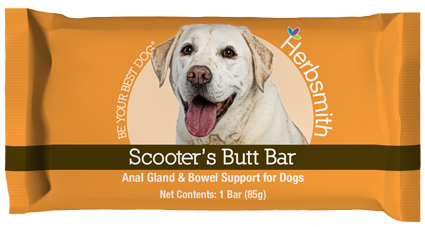Scooter's Butt Bar, Large 
