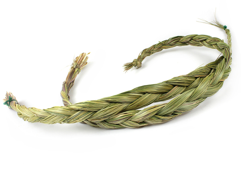 Sweet Grass Braid (Hierochloe odorata)