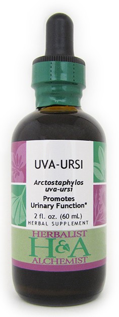 Uva-Ursi Extract, 8 oz.