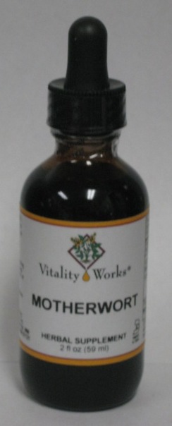 Motherwort Extract Tincture, 1oz