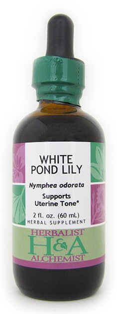 White Pond Lily Extract, 2 oz.