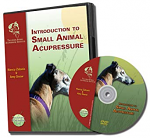 Introduction to Small AnimalAcupressure DVD