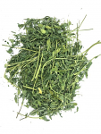 Alfalfa Aerial in Leaf - Certified Organic and Grown in the USA, 1lb