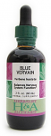 Blue Vervain Extract, 1 oz.