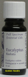 Eucalyptus (radiata) Essential Oil
