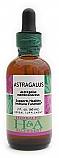 Astragalus Extract, 8 oz.