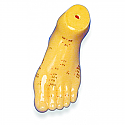 Foot Acupuncture Model, 5.5"