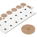 Accu-Band 6000 Rec Magnets, Gold Plated
