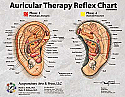 Auricular Therapy Reference Card