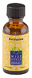 Eucalyptus Essential Oil, 1 oz